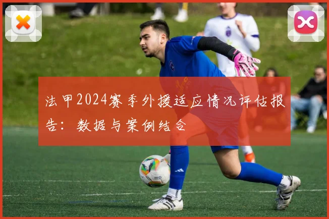法甲2024赛季外援适应情况评估报告：数据与案例结合