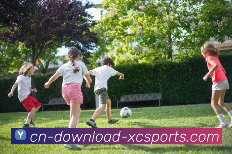 多媒体互动体验