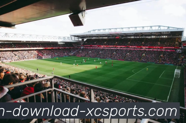 杏彩体育APP 高清赛事图