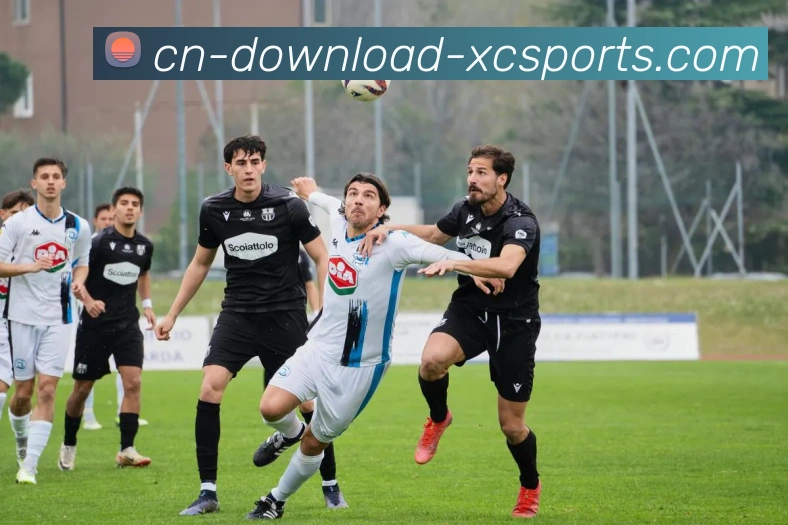 数据防护可视化